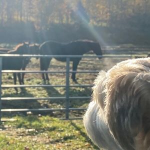 Meet your Posher, Lynne